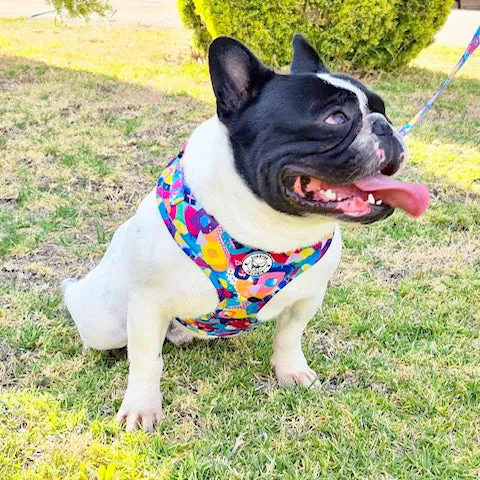 Geometric Splash - Adjustable Harness