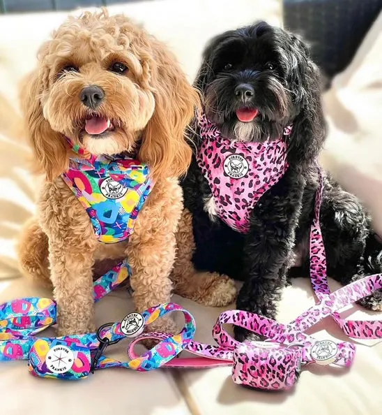 Geometric Splash - Adjustable Harness
